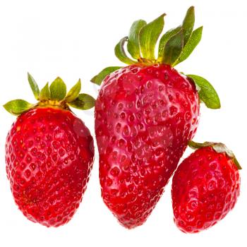 three fresh red garden strawberries isolated on white background