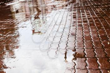 rain puddle on road tile of urban square