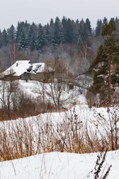 snow covered rural houses on margin of a spruce forest on a winter day