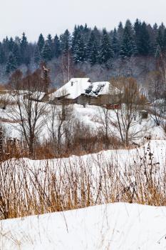 snow covered country houses on margin of a spruce forest on a winter day