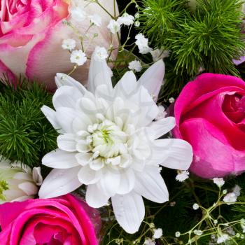 white chrysanth and pink roses in flower bouquet