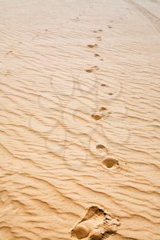 footprints on sand dune in Wadi Rum desert, Jordan