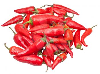 pods of fresh red chili peppers isolated on white background