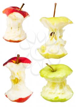 set of apple cores isolated on white background