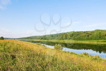 green grass on riverbank in summer day, Russia