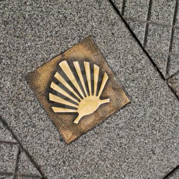 shell in pavement, a symbol of the route Saint James, Galicia, Spain