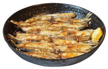 fried fish capelin on frypan isolated on white background