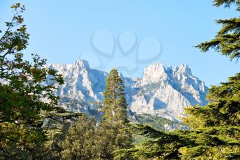 view of Ai-Petri mountain from Alupka garden in autumn day, Crimea