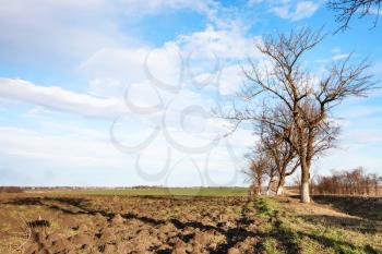country landscape with plowed fields in early spring day