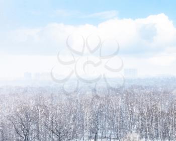 snowfall and blurred city and woods on background