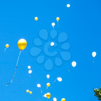 toy balloons rise in the blue sky in sunny summer day