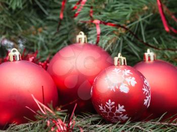 vertical Christmas still life - four red Christmas baubles on Xmas tree background
