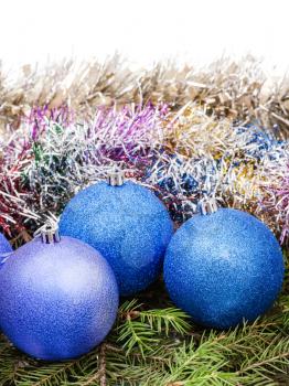 blue and violet Christmas decorations on green spruce tree branch isolated on white background