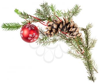 detail of christmas frame - twig of spruce tree with cone and red ball on white background