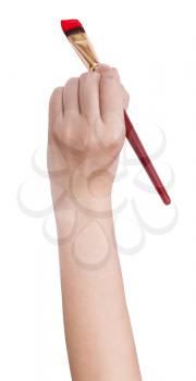 hand holds artistic flat paintbrush with red paint isolated on white background