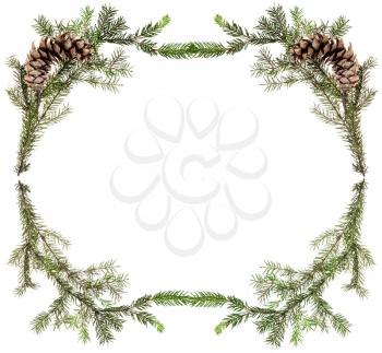 christmas greeting card frame - simple spruce twigs with cones on white background