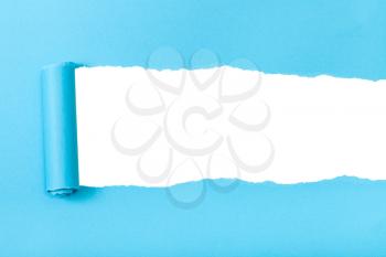 blue rolled-up torn paper on white isolated background