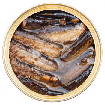 top view of tinned smoked sprats fish in oil in tin isolated on white background
