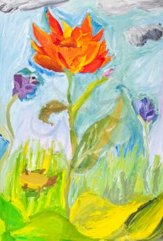 child's drawing - red poppy flower at green meadow watercolor gouache