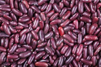food background - many raw dark red kidney beans