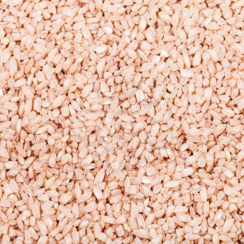 square food background - medium grains of uncooked red Matta (Devzira) rice close up