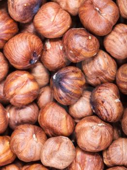 food background - dried uncooked hazelnuts close up