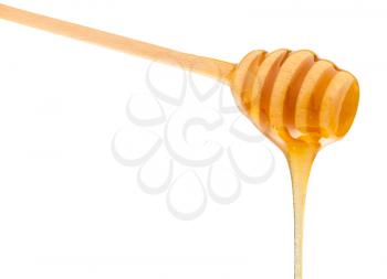 clear honey flowing down from wooden spoon isolated on white background