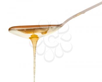 clear honey flowing down from teaspoon close up isolated on white background