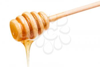 clear honey flows down from wooden stick isolated on white background