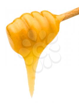 yellow honey flows down from wooden stick close up isolated on white background