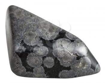 macro shooting of natural gemstone - tumbled Variolite mineral gem stone isolated on white background