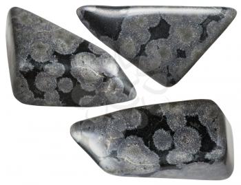 set of Variolite mineral stones isolated on white background