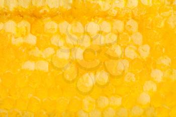 natural background - fresh honeycomb with honey