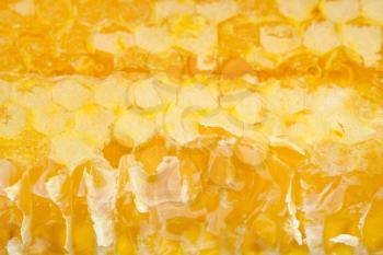 broken yellow honeycomb with honey close up