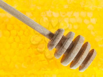 dry wooden honey dipper on surface of honeycomb with honey