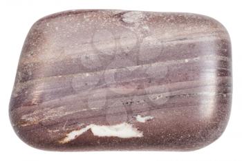 macro shooting of specimen of natural mineral - tumbled Argillite stone isolated on white background
