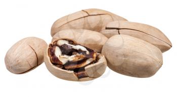 few pecan nuts in shell isolated on white background