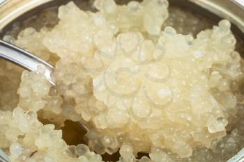salty white caviar of halibut fish with spoon in can close up
