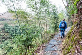 travel to China - tourist walk at wet path on slope of green hill near Dazhai village in area of Longsheng Rice Terraces (Dragon's Backbone terrace, Longji Rice Terraces) in spring season