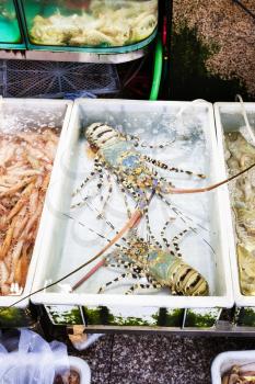 Travel to China - spiny lobsters on Huangsha Aquatic Product Trading Market in Guangzhou city in spring season