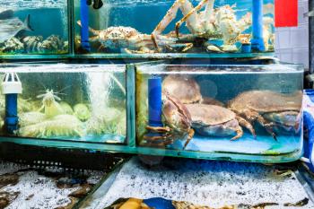 Travel to China - crabs and shrimps on Huangsha Aquatic Product Trading Market in Guangzhou city in spring season