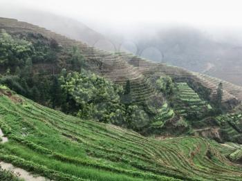 travel to China - terraced rice fields near view point Music from Paradise in area Dazhai Longsheng Rice Terraces (Dragon's Backbone terrace, Longji Rice Terraces) country in spring rain