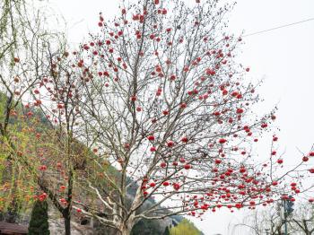 LUOYANG, CHINA - MARCH 20, 2017: chinese red lanterns of tree branches at West Hill of Longmen Grottoes (Longmen Shiku, Dragon's Gate Grottoes, Longmen Caves) in spring season
