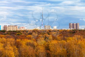 above view of urban Timiryazevskiy park and Ostankinskaya TV tower in Moscow city in autumn