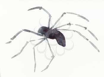 hand painting in sumi-e style on cream paper - running spider drawn by black watercolors