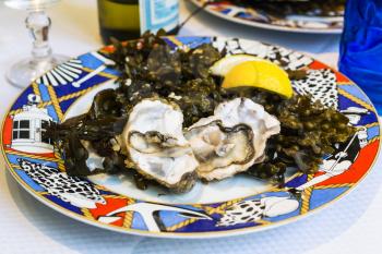 travel to France - atlantic raw oysters on plate in local fish restaurant in Treguier town in the Cotes-d'Armor department of Brittany