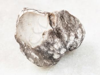 macro shooting of natural mineral rock specimen - raw cacholong stone on white marble background from Kazakhstan