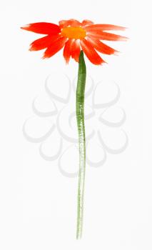 training drawing in suibokuga sumi-e style with watercolor paints - red gerbera flower hand painted on white paper