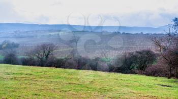 travel to France - rain over vineyard in Bollenberg Domain in Thann-Guebwiller arrondissement of Alsace county in the Haut-Rhin department in the Grand Est region of France in winter evening