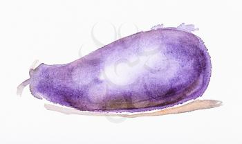 ripe eggplant hand painted by watercolour paints on white textured paper